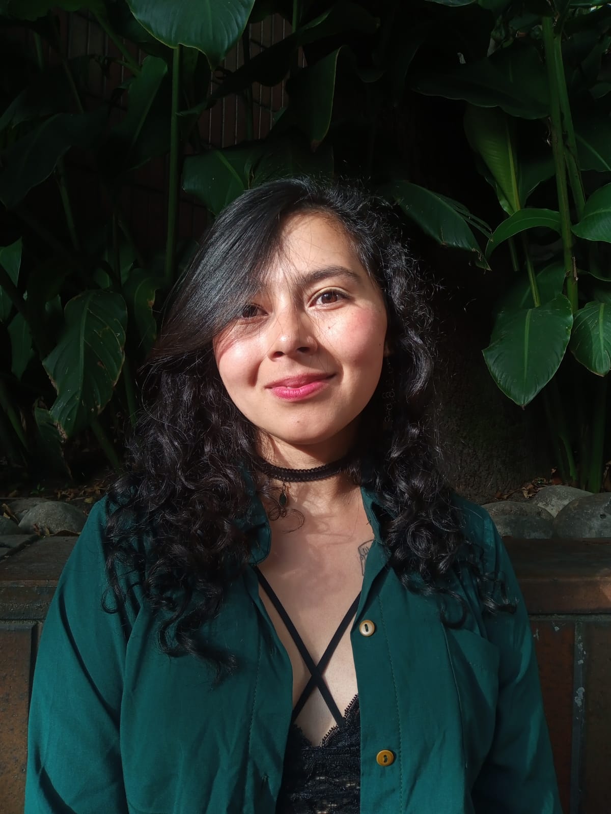 Karen Tatiana Pertúz Piramanrique Pontificia Universidad Javeriana